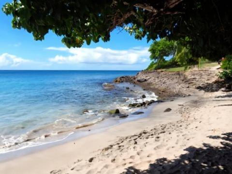 Pierre & Vacances Antigua 03 Sainte-Luce Εξωτερικό φωτογραφία